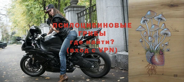 хмурый Абинск