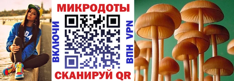 где можно купить   Шимановск  Галлюциногенные грибы GOLDEN TEACHER 