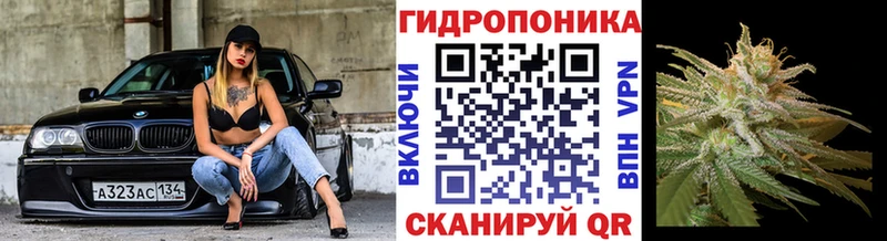 Конопля индика гидра рабочий сайт Шимановск как найти